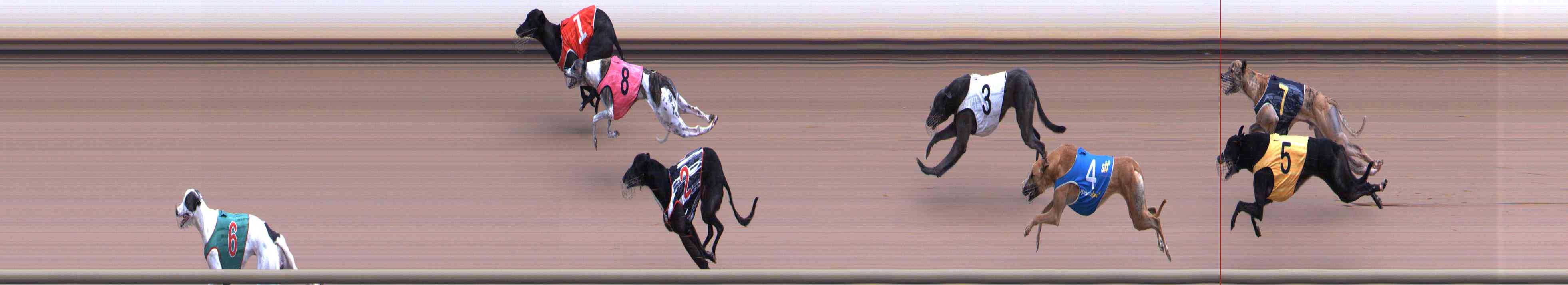 Race result finish photo